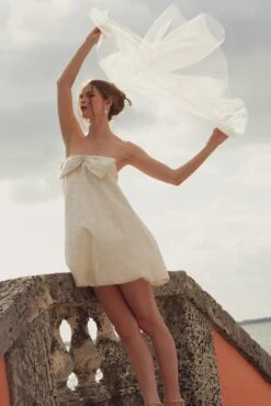 Cort Dress - Ivory -SACHIN & BABI Shop SB CAMERARAW0644 Edit 2