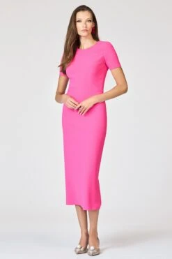 TAMARA DRESS - CERISE -SACHIN & BABI Shop SHOT 55 011 d7672b18 16a2 492a 805d a5bb39988aec